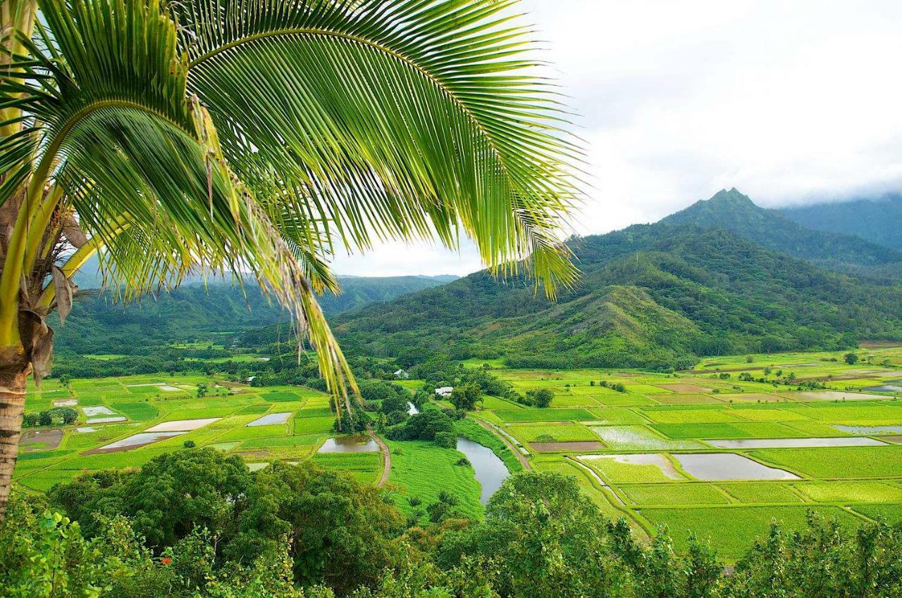 Islander On The Beach 352 Oceanfront *Penthouse* Ac Pool Apartment Kapa'a Exterior photo